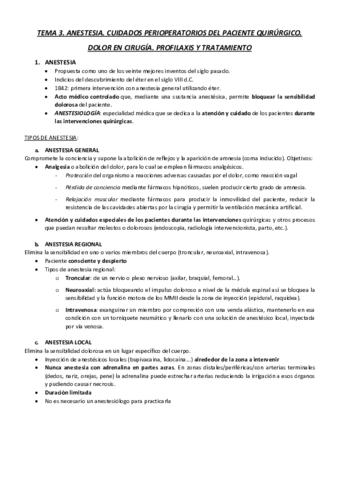 T3.pdf