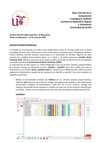 Examen-2020-Ejercicio-3.pdf