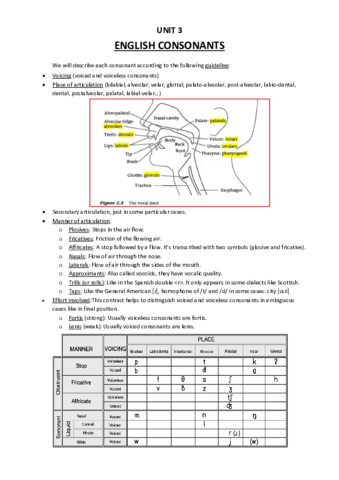 Topic_3._English_consonants.PDF