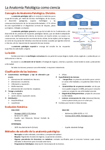 APUNTES-PRIMER-PARCIAL-apg.pdf