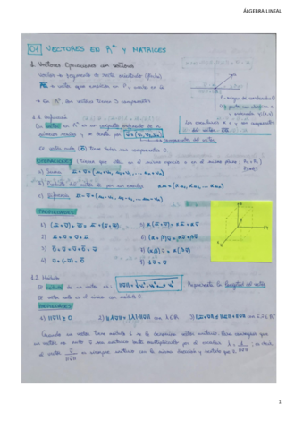 Algebralinealtemario.pdf
