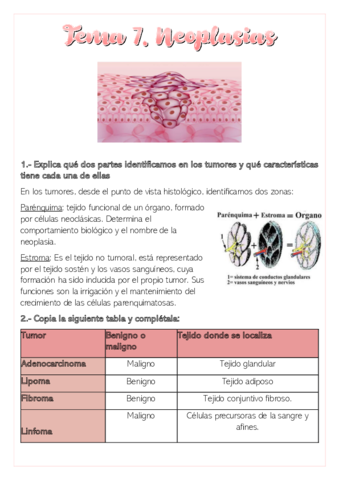 Actividades-Tema-7-Fisiopatologia-Carmen-Garcia.pdf