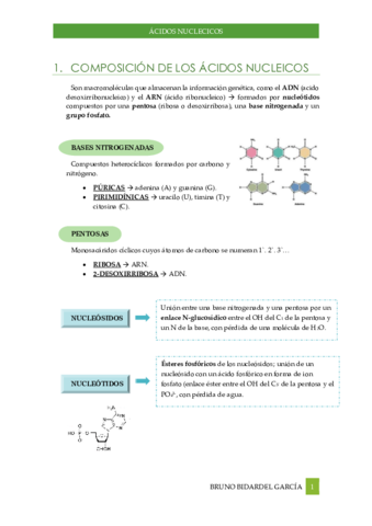 Acidos-nucleicos.pdf