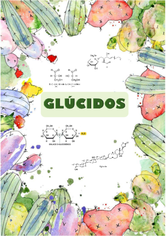 Glucidos.pdf