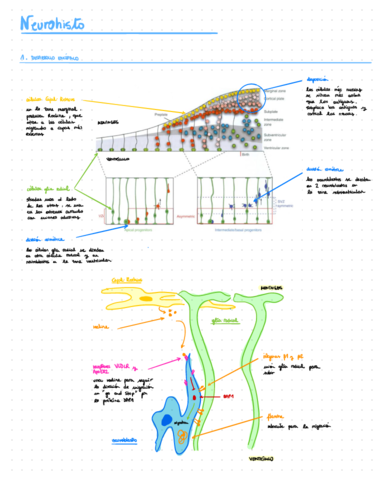 ESQUEMA-TEMA-1.pdf