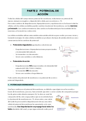 TEMA-3B-fisiologia.pdf