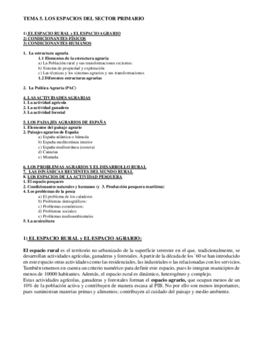 Resumen-del-tema.pdf