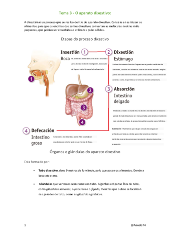 Dixestion-3oESO.pdf