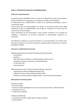Tema 11 IG.pdf