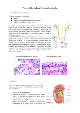 Tema-4.pdf