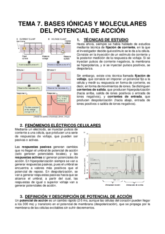 TEMA-7.pdf