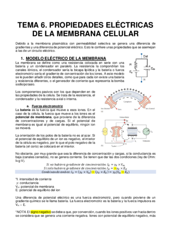 TEMA-6.pdf