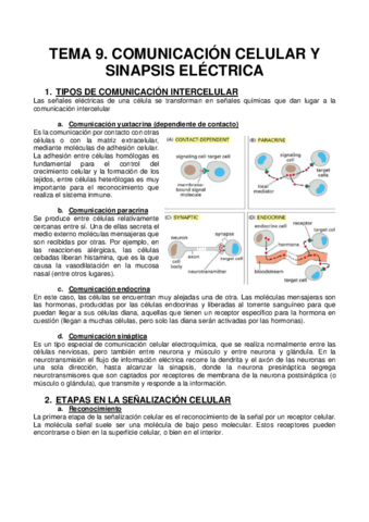 TEMA-9.pdf