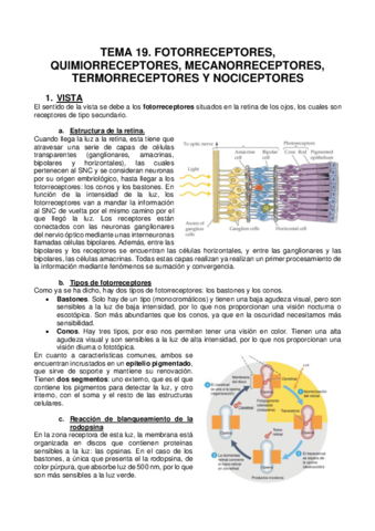 TEMA-19.pdf