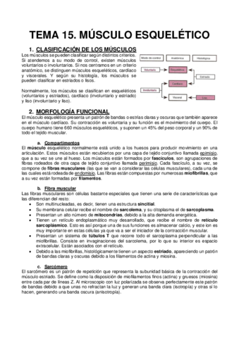 TEMA-15.pdf