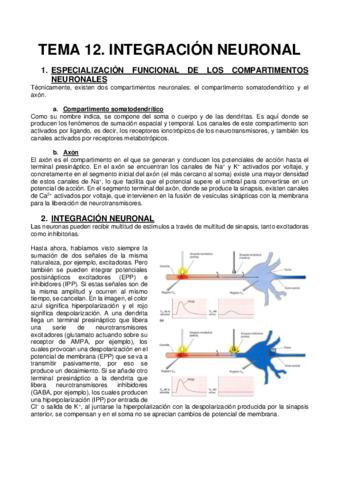 TEMA-12.pdf