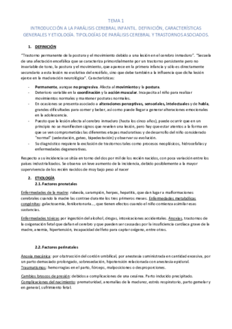 PCI-TEMARIO.pdf