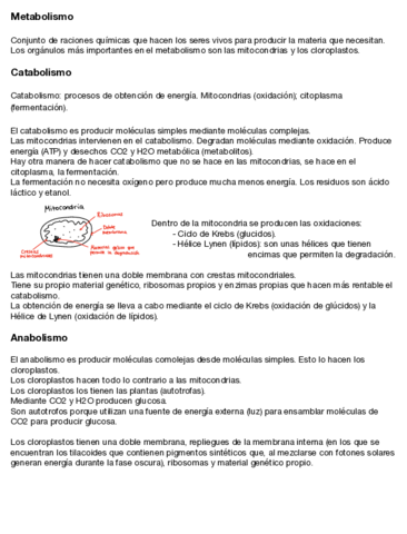 Metabolismo-Catabolismo-y-Anabolismo-.pdf