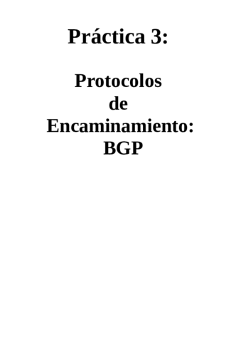 P3-BGP-AYUDA.pdf