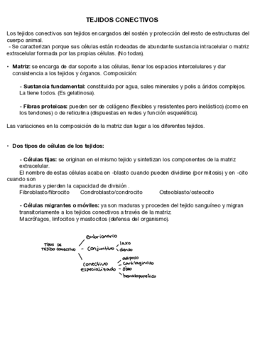 Tejido-conectivo.pdf