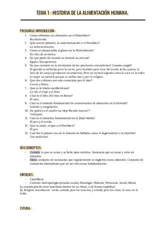 HISTORIA-1.pdf