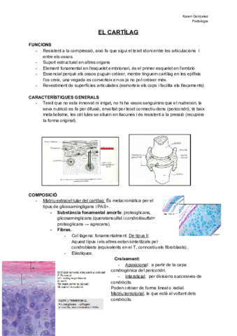 El-cartilag.pdf