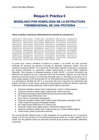Bloque-IIPractica-6Modelado-por-homologia.pdf