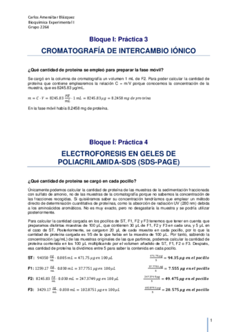 Bloque-IIIPracticas-3-y-4IEX-y-EF.pdf