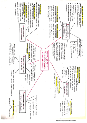 ESQUEMAS-TEMAS-PSICOLOGIA.pdf