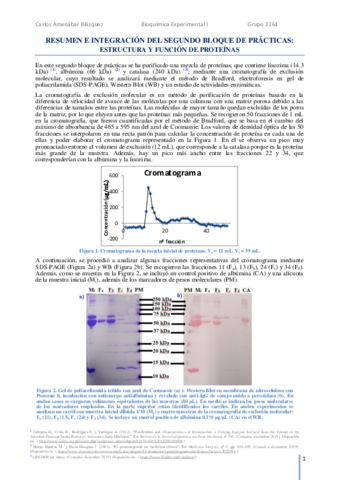 Bloque-IIIRESUMEN-E-INTEGRACION-SEGUNDA-PARTE.pdf