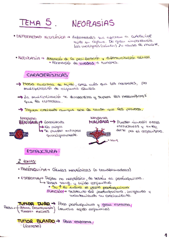 TEMA-5-Neoplasias-FPG.pdf