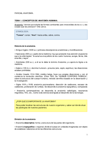 PARCIAL-ANATOMIA.pdf