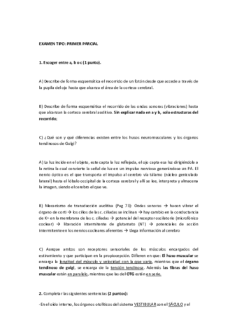 EXAMEN-TIPO.pdf