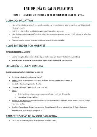 Cuidados-paliativo-TEMA-1.pdf