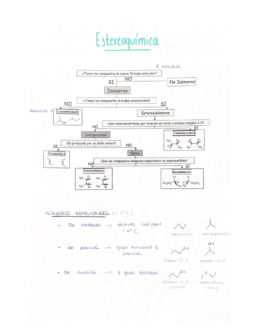 Estereoquimica.pdf