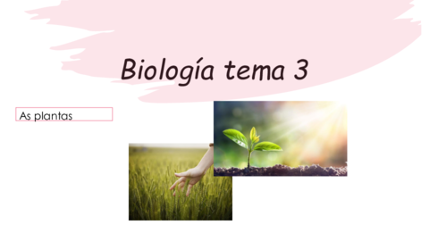 bilogia-tema-6-e-xeografia-tema-4.pdf