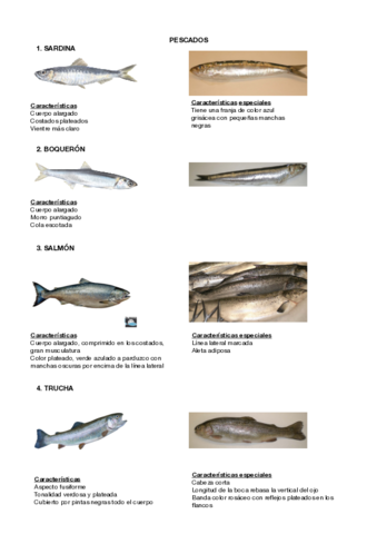 Pescados-y-caracteristicas.pdf