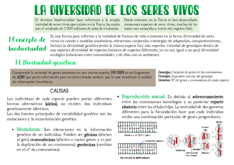 diversidad-de-los-seres-vivos.pdf