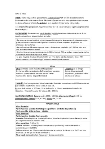 Tema-6-virus-pdf.pdf