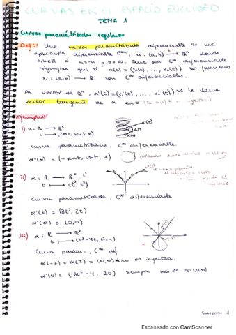 teoria-curvas-y-superficies.pdf