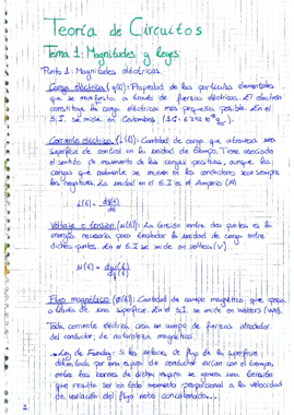 Tema 1. Magnitudes y Leyes.pdf