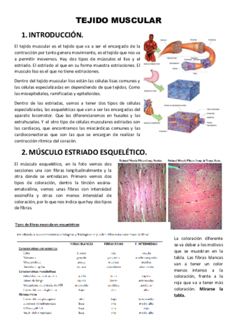 3-Tejido-muscular.pdf