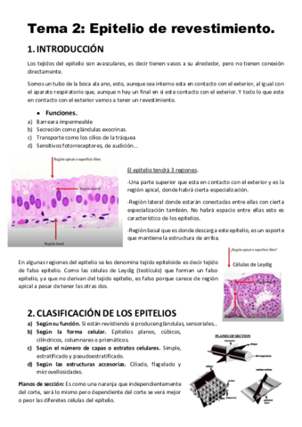 1-Epitelio-de-revestimiento.pdf