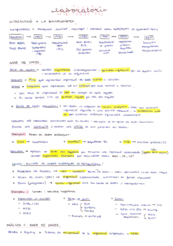 LABORATORI-Bioinformatica.pdf