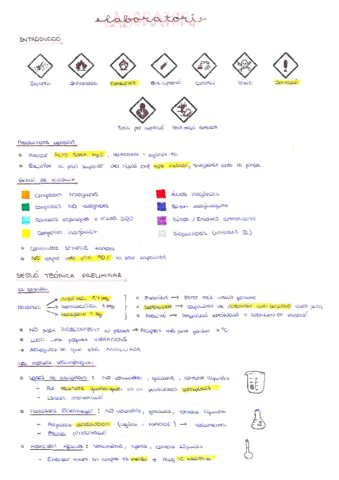 LABORATORI-Quimica.pdf