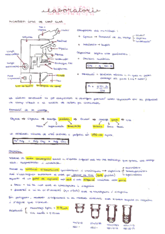 LABORATORI-Teoria.pdf