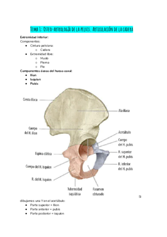 TEMA-1.pdf