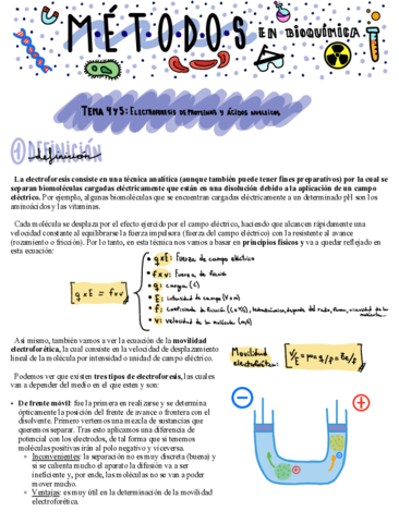 Tema-4-y-5-Electroforesis.pdf