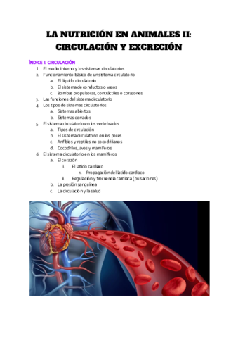 TEMA-8-LA-NUTRICION-EN-ANIMALES-IICIRCULACION.pdf