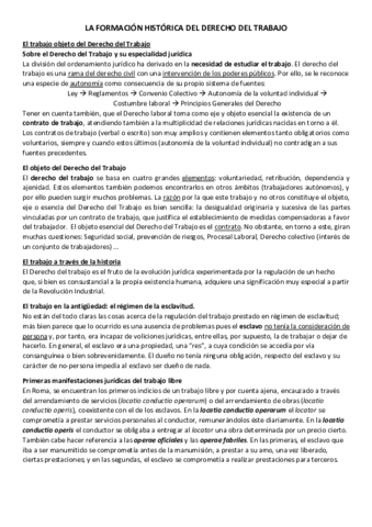 TODOS-LOS-TEMAS-LABORAL.pdf